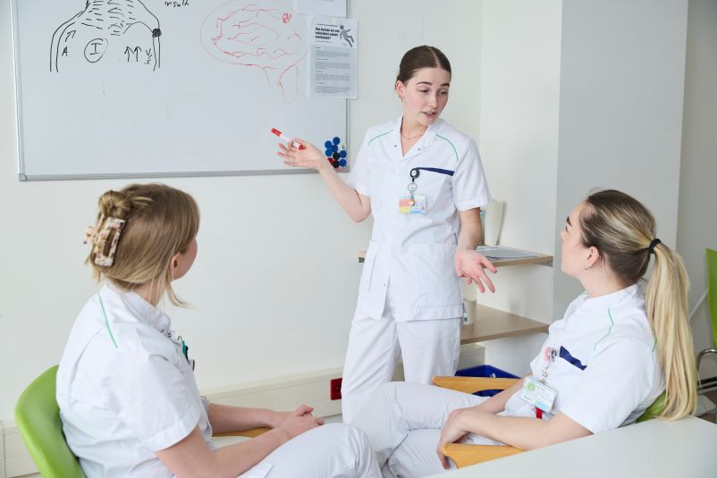 3 verpleegkundigen klinische les